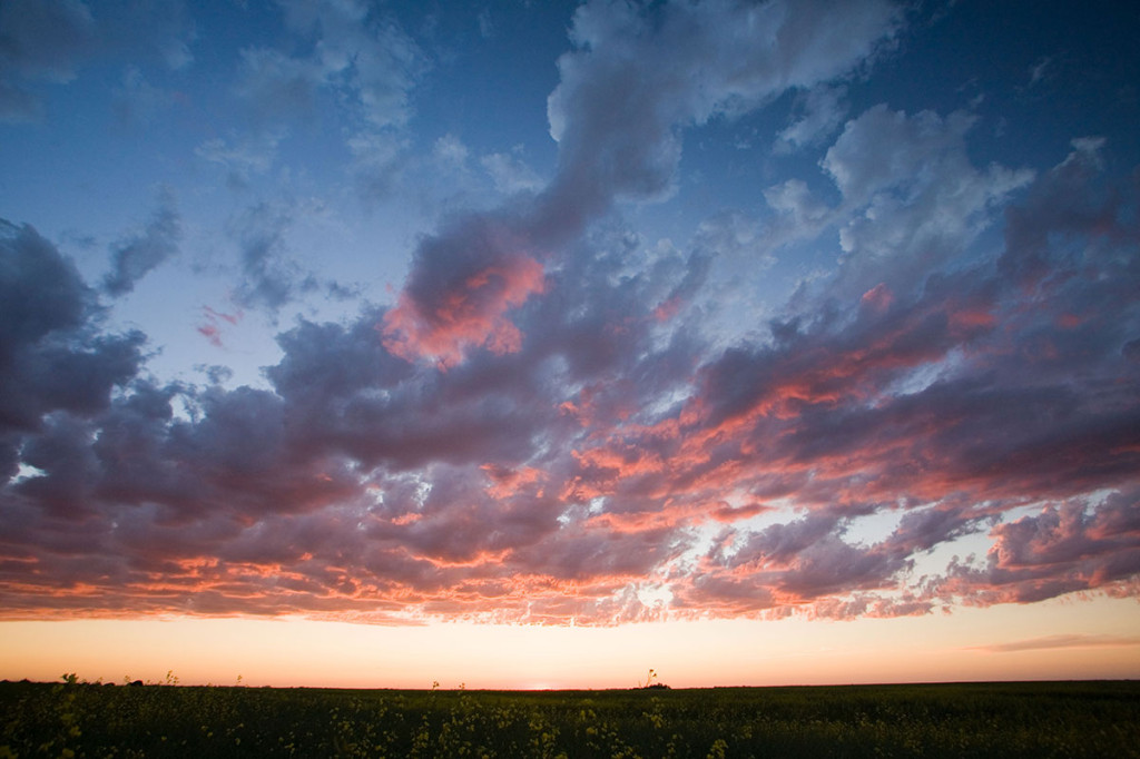 Pink clouds Photo credit: Ryan Goolevitch